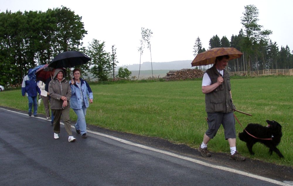 Freiwilligen-Helfer-Wanderung 2008
