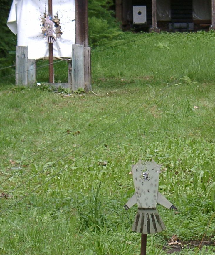 05 Die gerupften Voegel